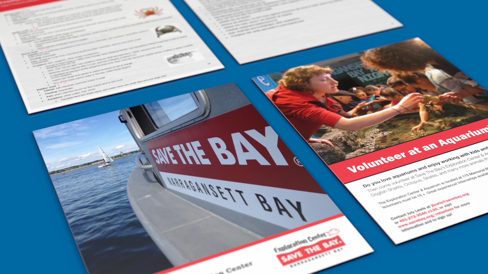 Graphic Design For Save The Bay